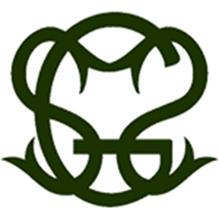 Saifiya Girls School